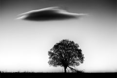 2018_04_18_veterna_MG_9768-2-Panorama-Edit-2-Edit-2_1