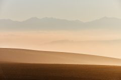 2020_05_16_polia_MG_0593_1
