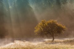2015_10_25_strom_MG_8903-Edit_1