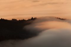 2017_11_04_MG_0527-Edit-2_1